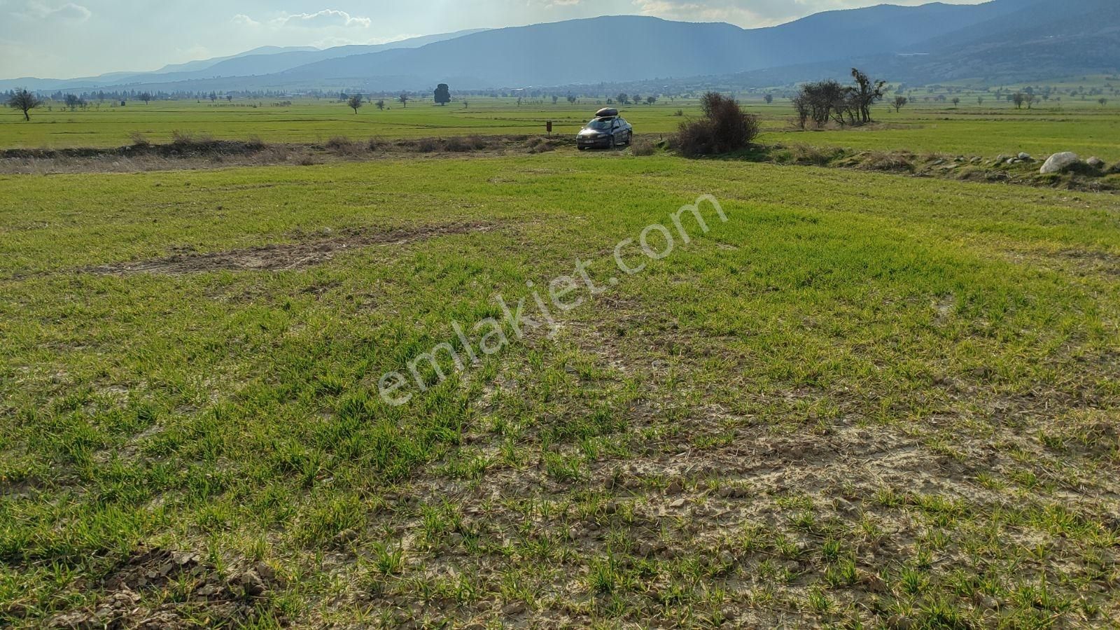 Korkuteli Çomaklı Da Satılık 2.022m2 Tarla Yol Var - Görsel 12