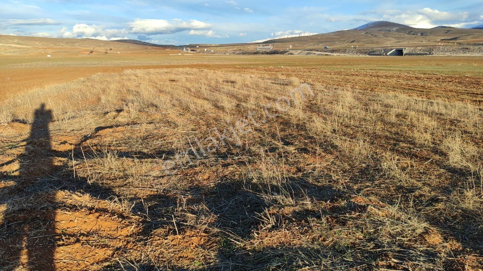 Korkuteli Beğiş De Satılık 1.375m2 Tarla Resmi Yol Var - Görsel 14