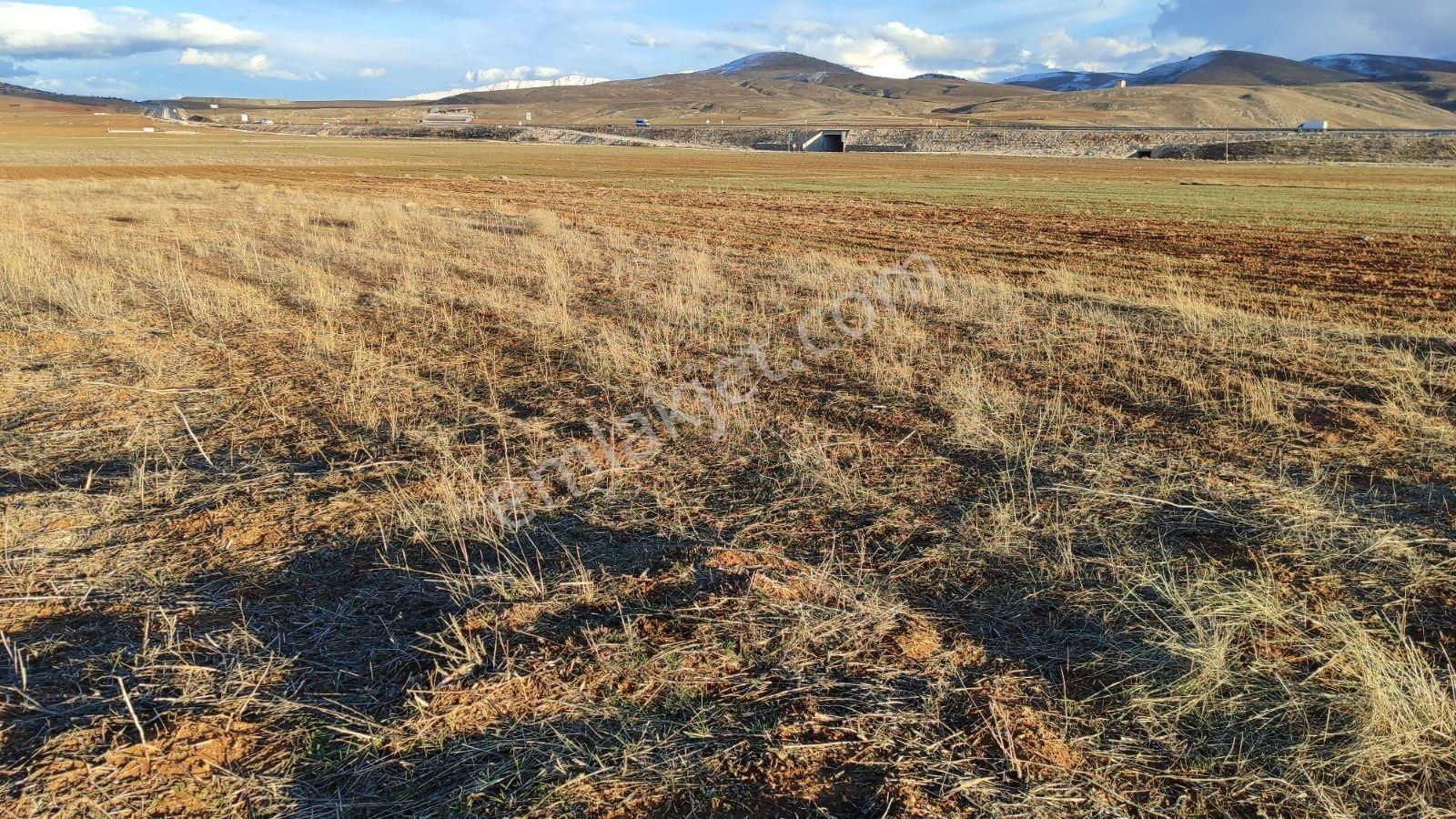 Korkuteli Beğiş De Satılık 1.375m2 Tarla Resmi Yol Var - Görsel 8