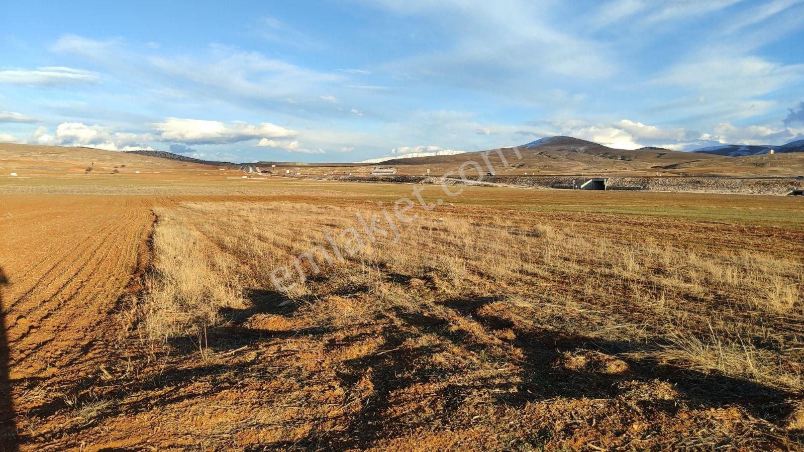 Korkuteli Beğiş De Satılık 1.375m2 Tarla Resmi Yol Var - Görsel 13