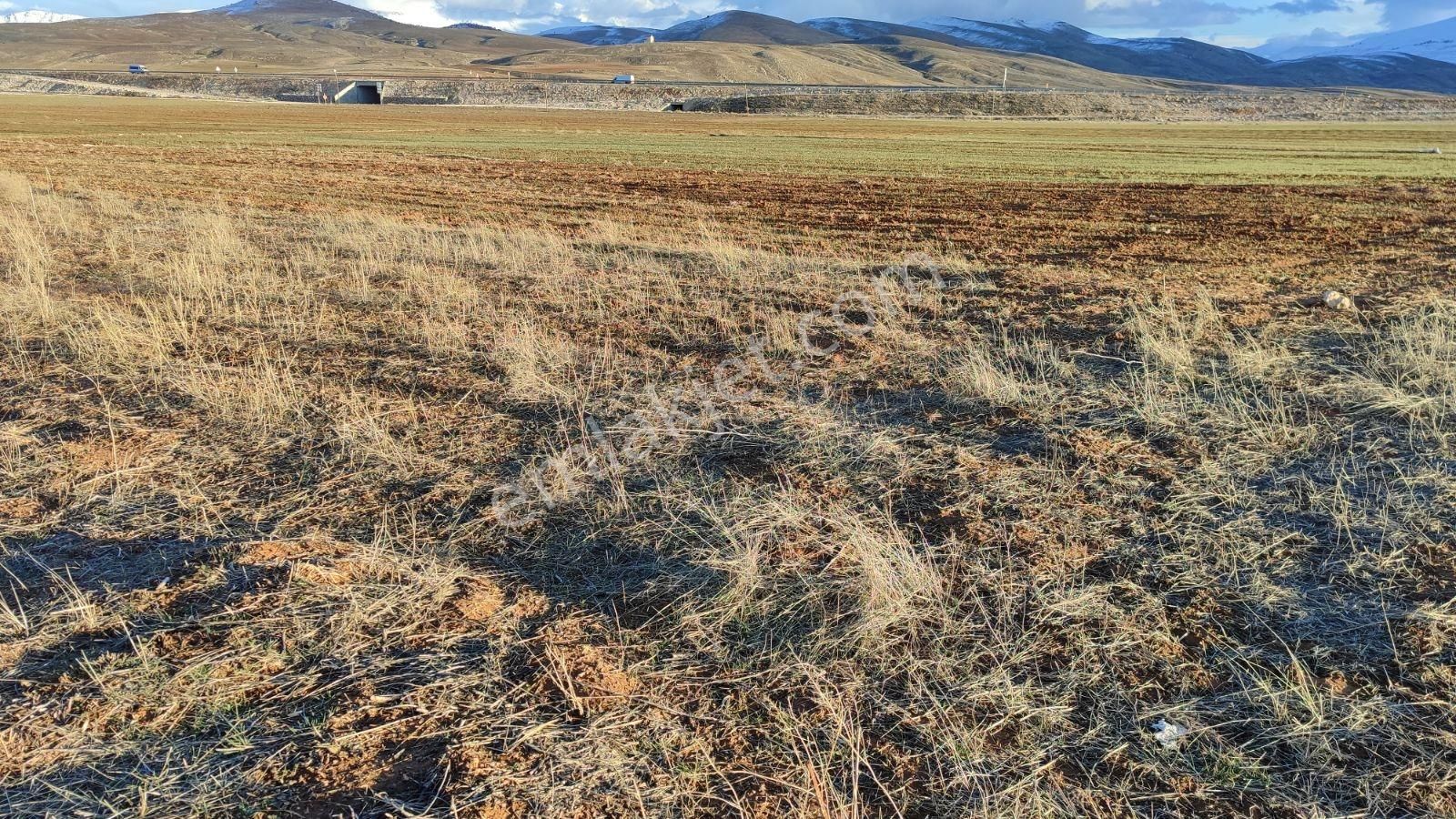 Korkuteli Beğiş De Satılık 1.375m2 Tarla Resmi Yol Var - Görsel 3