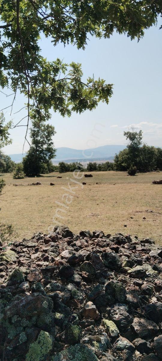 Kütahya Merkez Kozluca Köyü Nde Satılık Tarla - Görsel 21