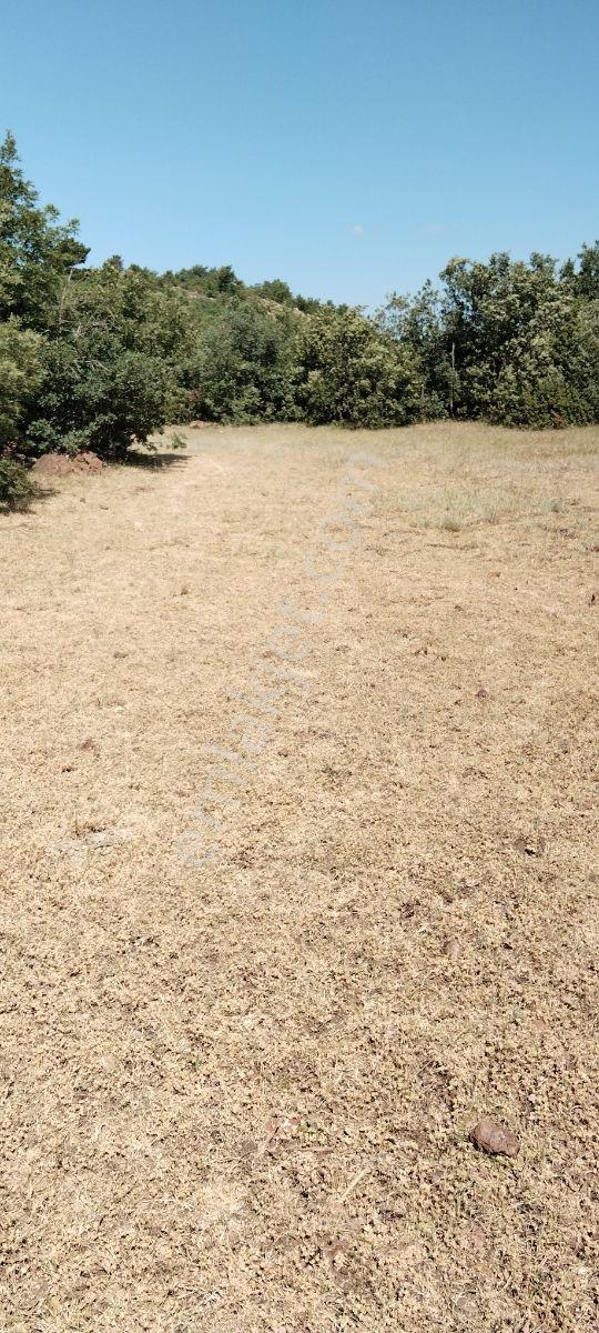 Kütahya Merkez Kozluca Köyü Nde Satılık Tarla - Görsel 14