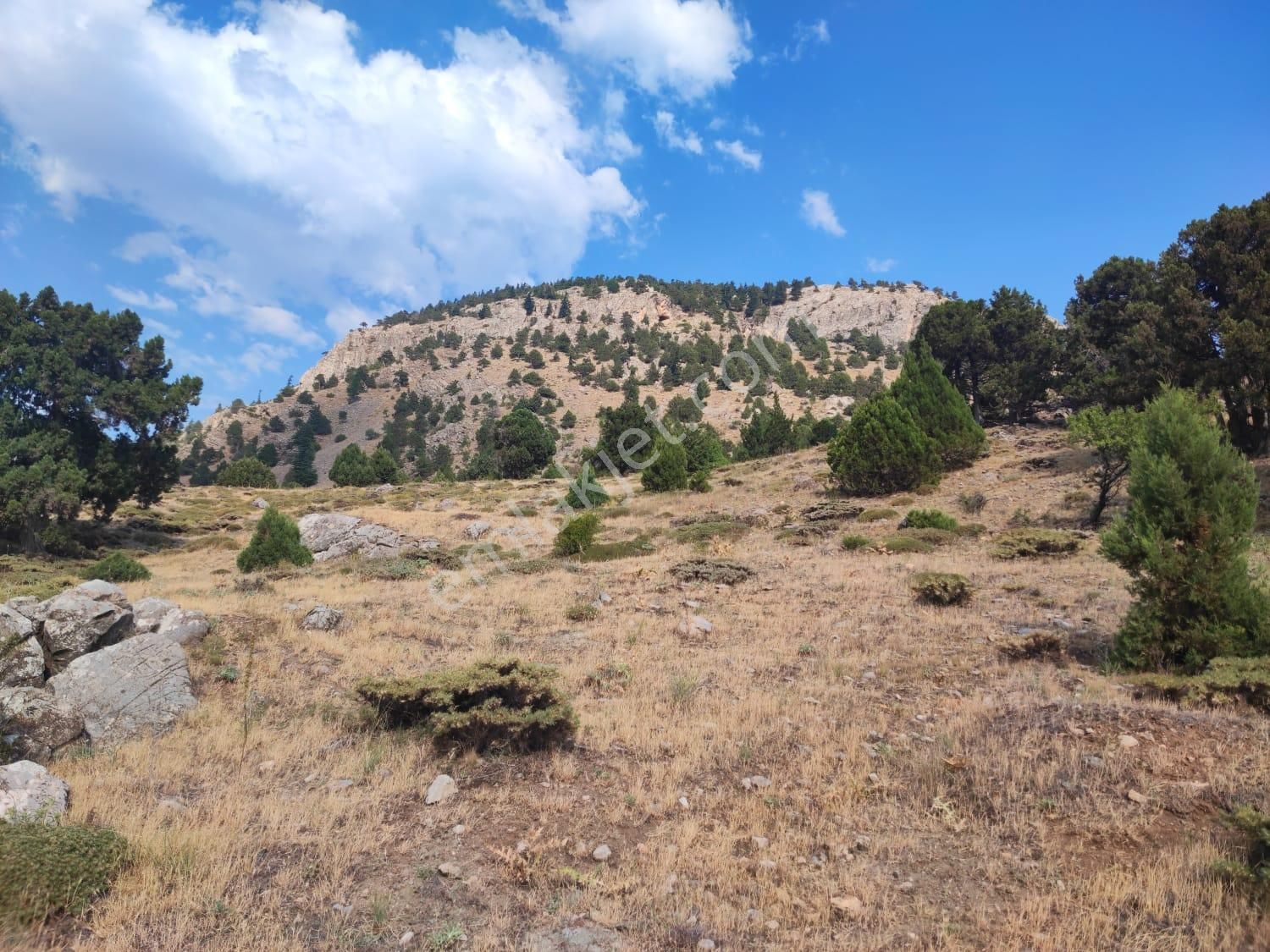 Kar Emlaktan Hamidiye Köyünde 460 M2 Satılık Arsa - Görsel 14
