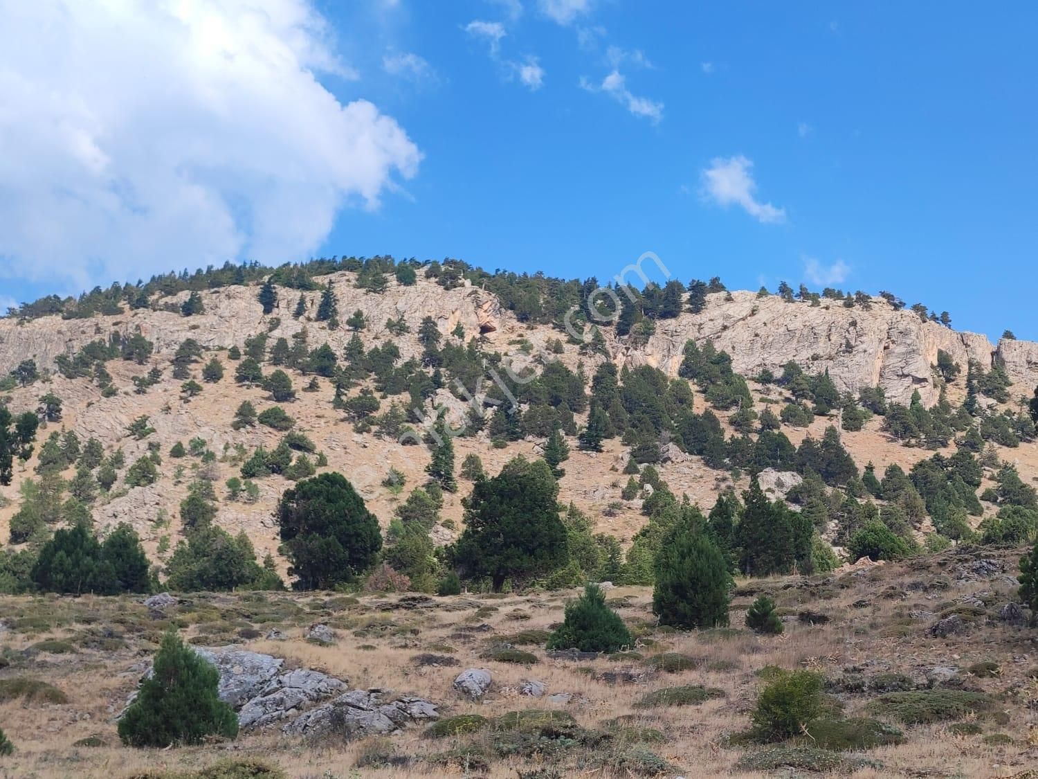 Kar Emlaktan Hamidiye Köyünde 460 M2 Satılık Arsa - Görsel 6