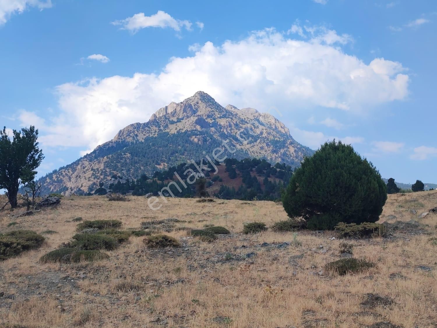 Kar Emlaktan Hamidiye Köyünde 460 M2 Satılık Arsa - Görsel 2