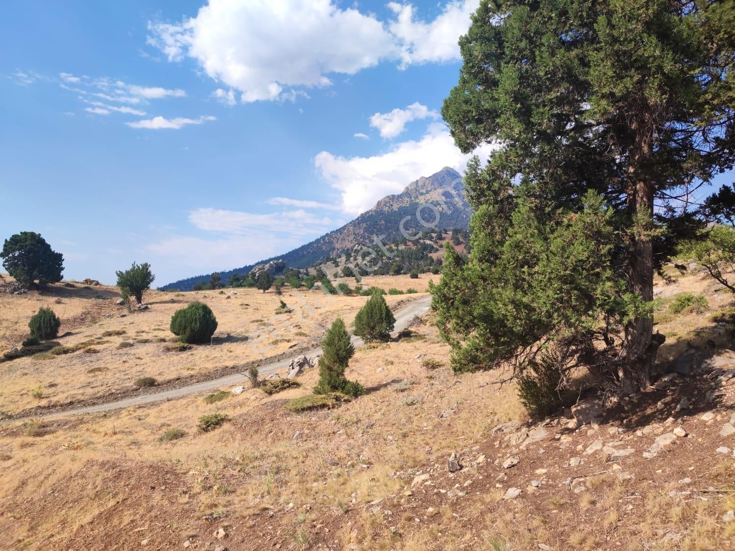 Kar Emlaktan Hamidiye Köyünde 460 M2 Satılık Arsa - Görsel 25