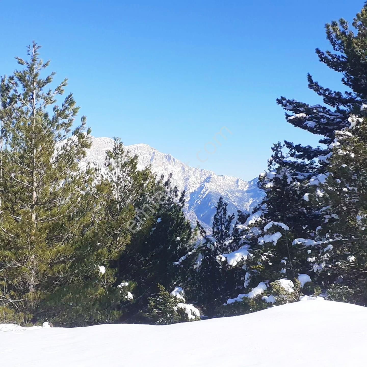 Kar Emlaktan Yenikonacık Körmenlik Mevkiinde 570 M2 Satılık Arsa - Görsel 2