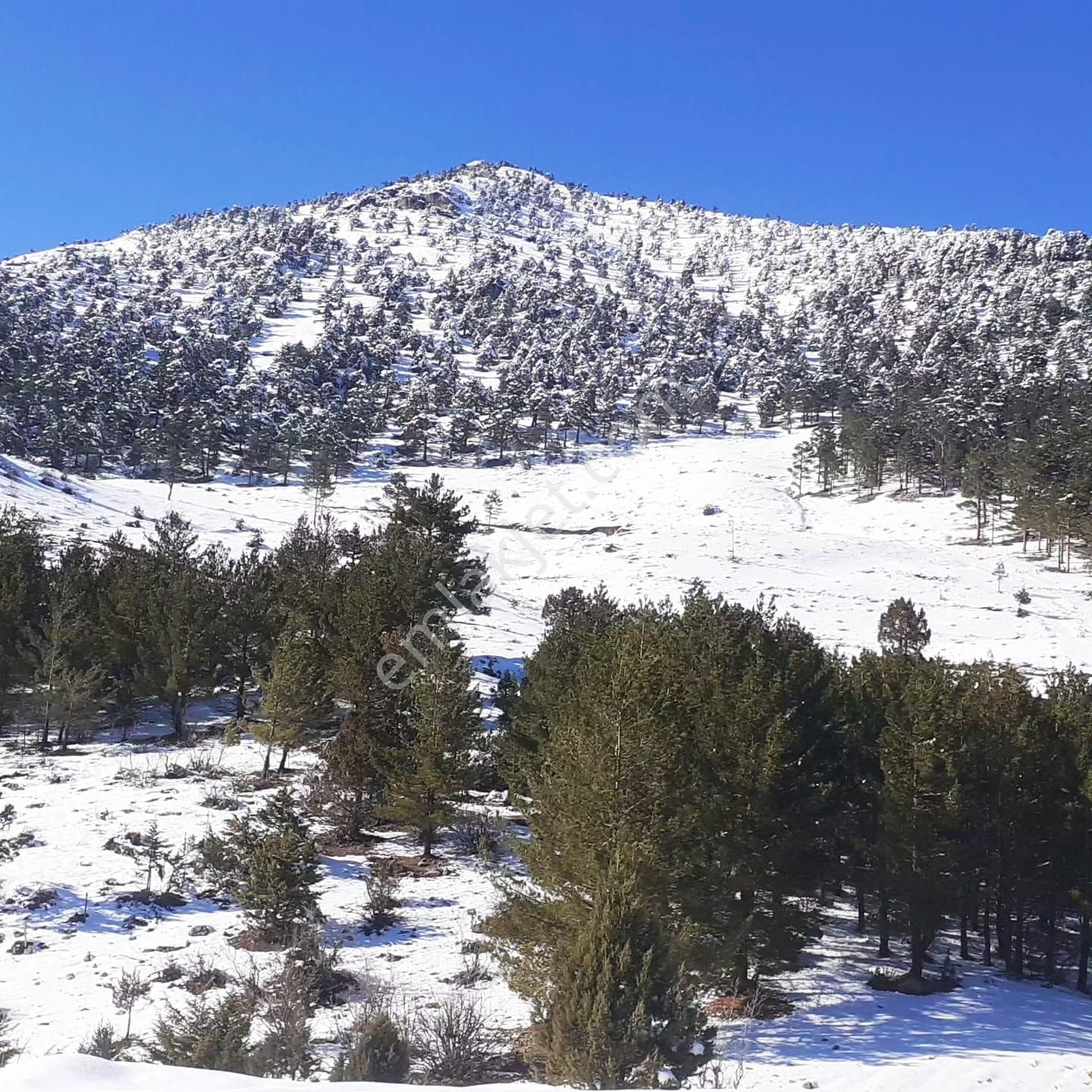 Kar Emlaktan Yenikonacık Körmenlik Mevkiinde 570 M2 Satılık Arsa