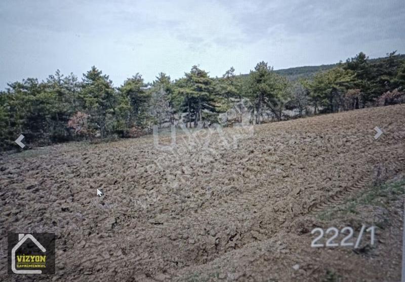 Göynük En Güzel Köylerinden Yola Cephe Doga Yeşillik Kafa Dinle - Görsel 15