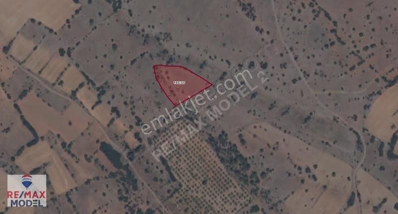 Remax Model Den Tavas Balkıca Da 3744m² Satılık Tarla