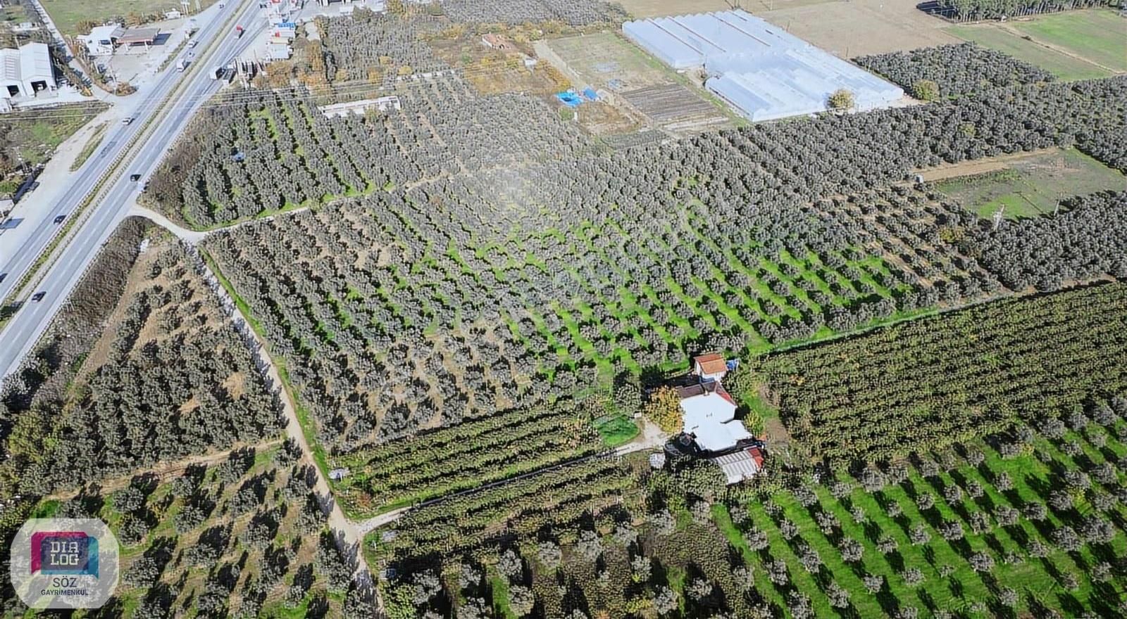 Söz'den Orhangazi Çeltikçi Ana Yola Cephe Muhteşem Arazi - Görsel 4