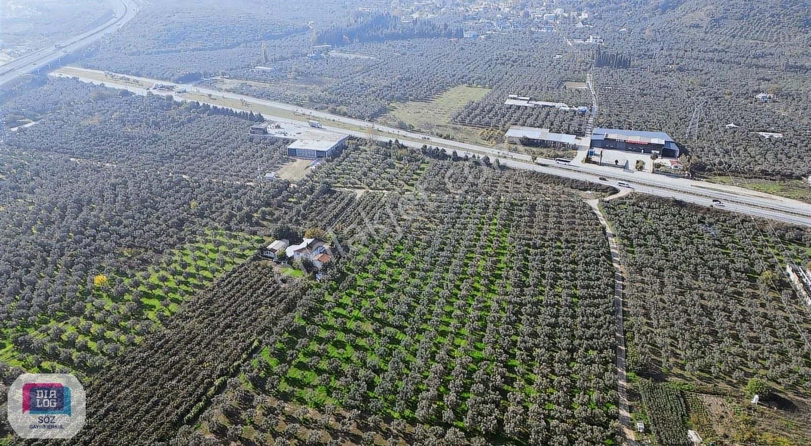 Söz'den Orhangazi Çeltikçi Ana Yola Cephe Muhteşem Arazi - Görsel 5