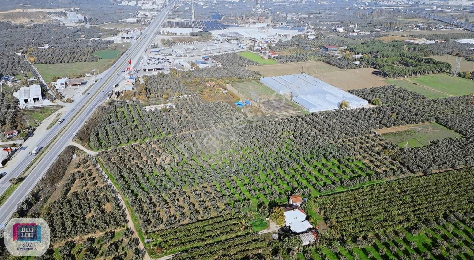 Söz'den Orhangazi Çeltikçi Ana Yola Cephe Muhteşem Arazi - Görsel 10
