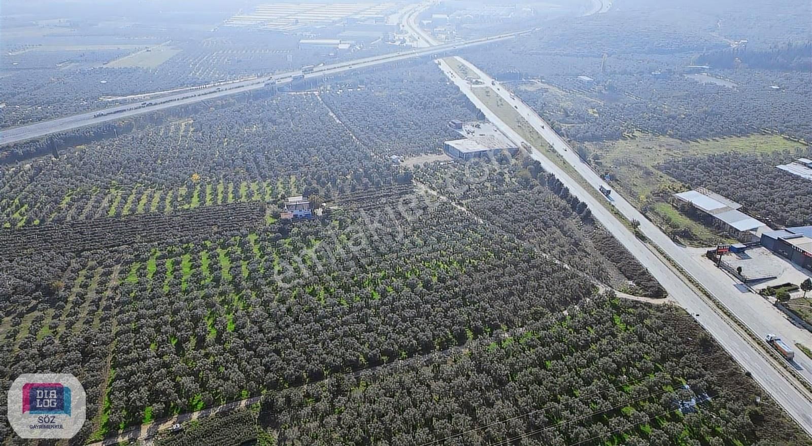 Söz'den Orhangazi Çeltikçi Ana Yola Cephe Muhteşem Arazi - Görsel 3