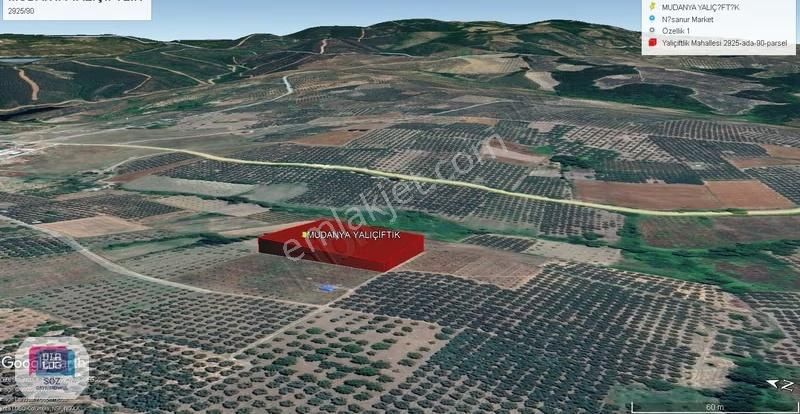 Dialog Söz 'den Mudanya Yalıçiftlik'te Yatırımlık Fırsat Tarla - Görsel 4