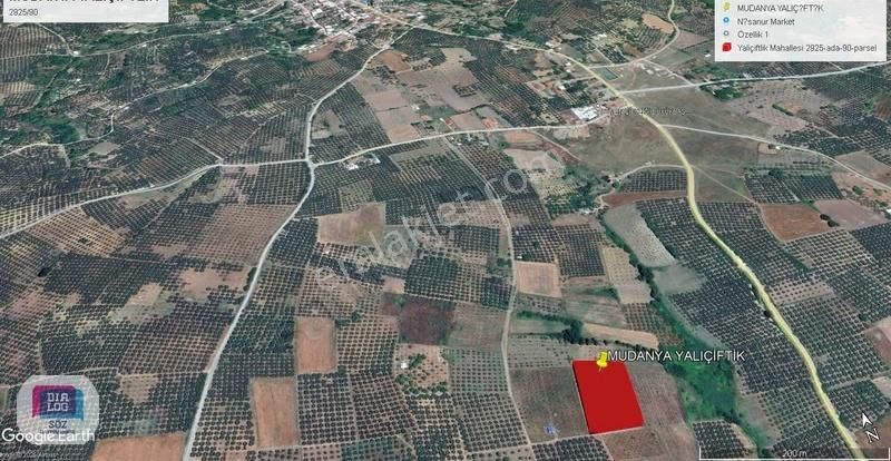 Dialog Söz 'den Mudanya Yalıçiftlik'te Yatırımlık Fırsat Tarla - Görsel 7
