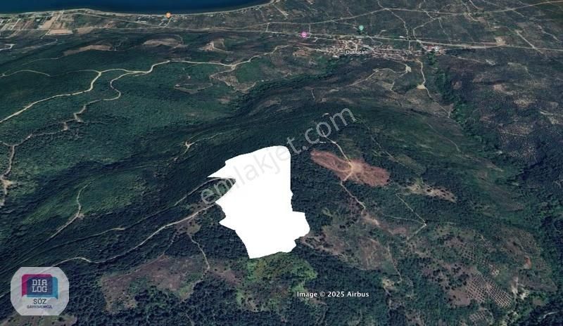 Orhangazi Yenisölöz Satılık 63000 M2 Göl Manzaralı Tarla Söz Den - Görsel 7