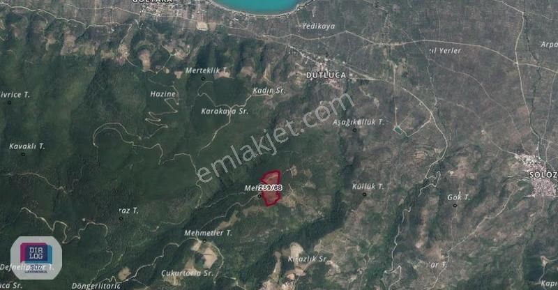 Orhangazi Yenisölöz Satılık 63000 M2 Göl Manzaralı Tarla Söz Den - Görsel 8