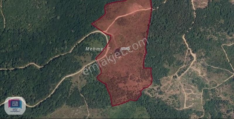 Orhangazi Yenisölöz Satılık 63000 M2 Göl Manzaralı Tarla Söz Den - Görsel 6