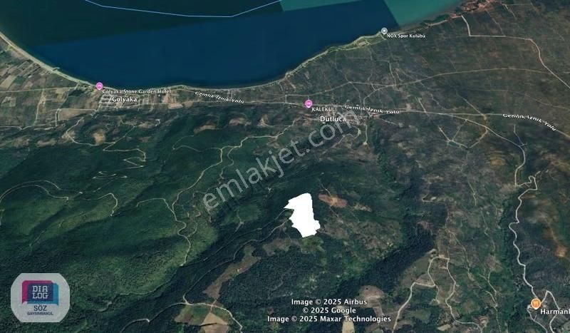 Orhangazi Yenisölöz Satılık 63000 M2 Göl Manzaralı Tarla Söz Den - Görsel 12