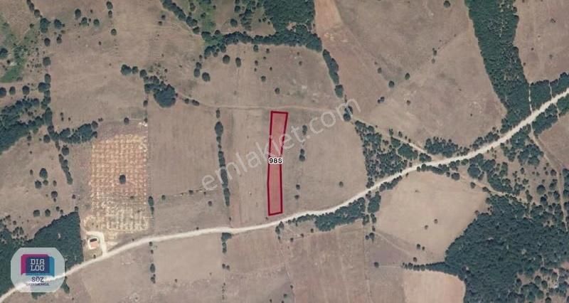 Mustafakemalpaşa Eskikızlelma Yola Cephe Satılık 2750 M2 Tarla - Görsel 6
