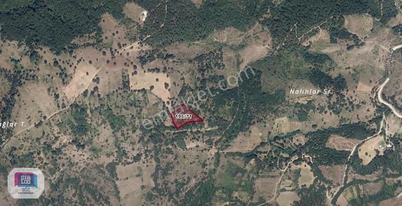 Orhaneli Göktepe Satılık 6500 M2 Satılık Yatırımlık Tarla - Görsel 4