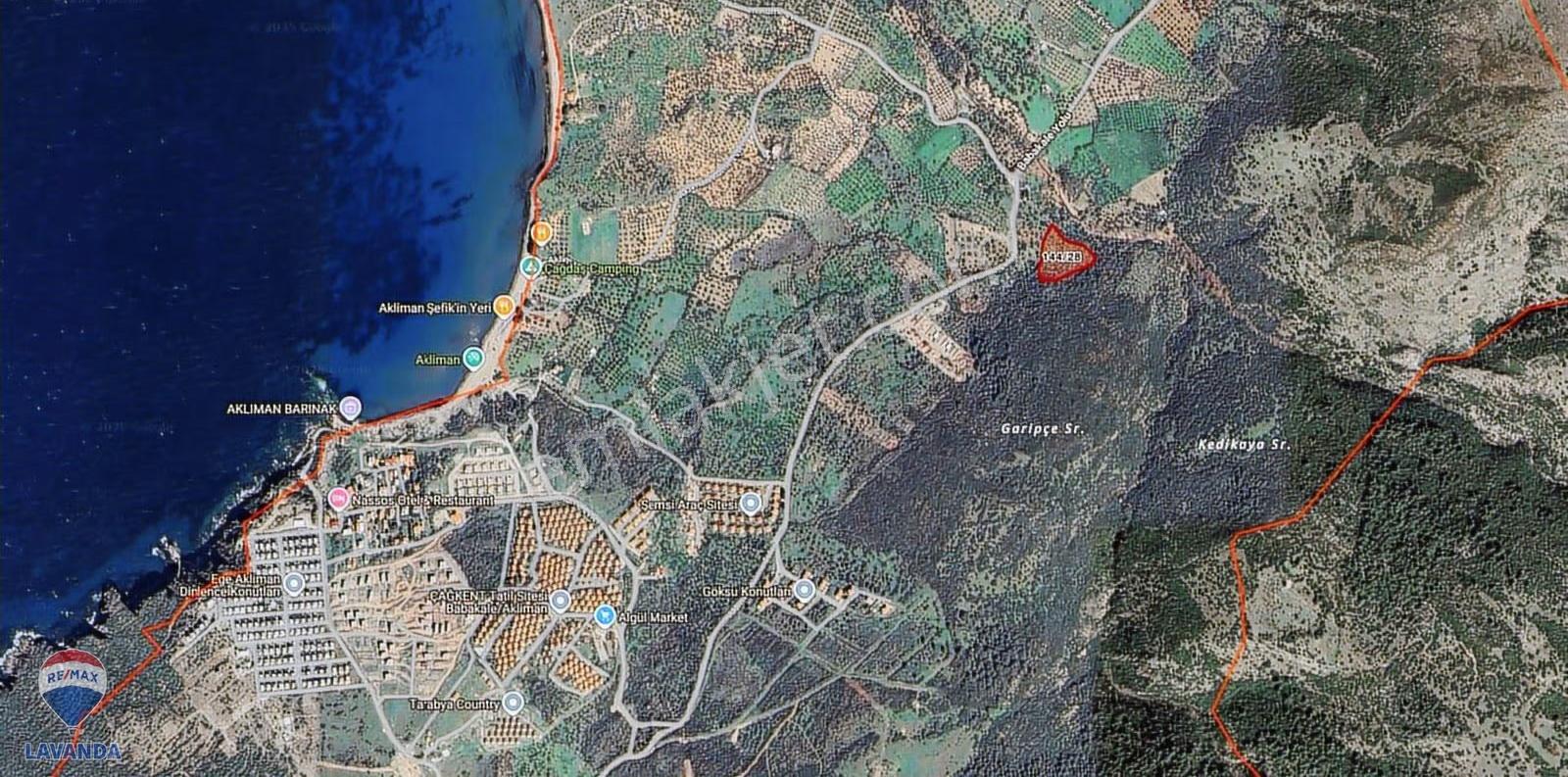 Babakale Satılık Zeytinlik - Denize Yakın - Resmi Yollu - 7700m² - Görsel 2