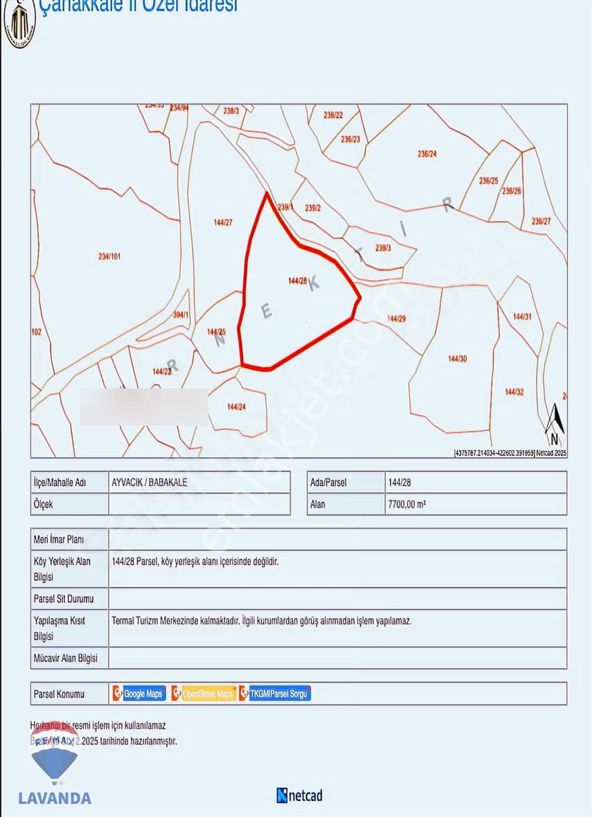 Babakale Satılık Zeytinlik - Denize Yakın - Resmi Yollu - 7700m² - Görsel 6