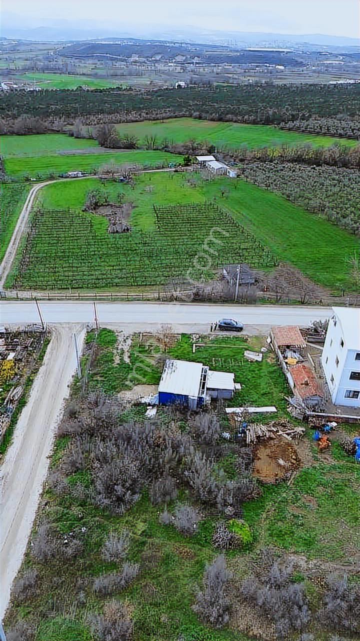 Hasköy Mezarlık Yolu Üzeri İşlek Konumda 600 M² Kiralık Yer - Görsel 2