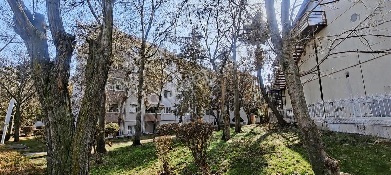 Eryaman Altay Mah.kutlutaş Blokları 3+1 Kiralık Daire - Görsel 25