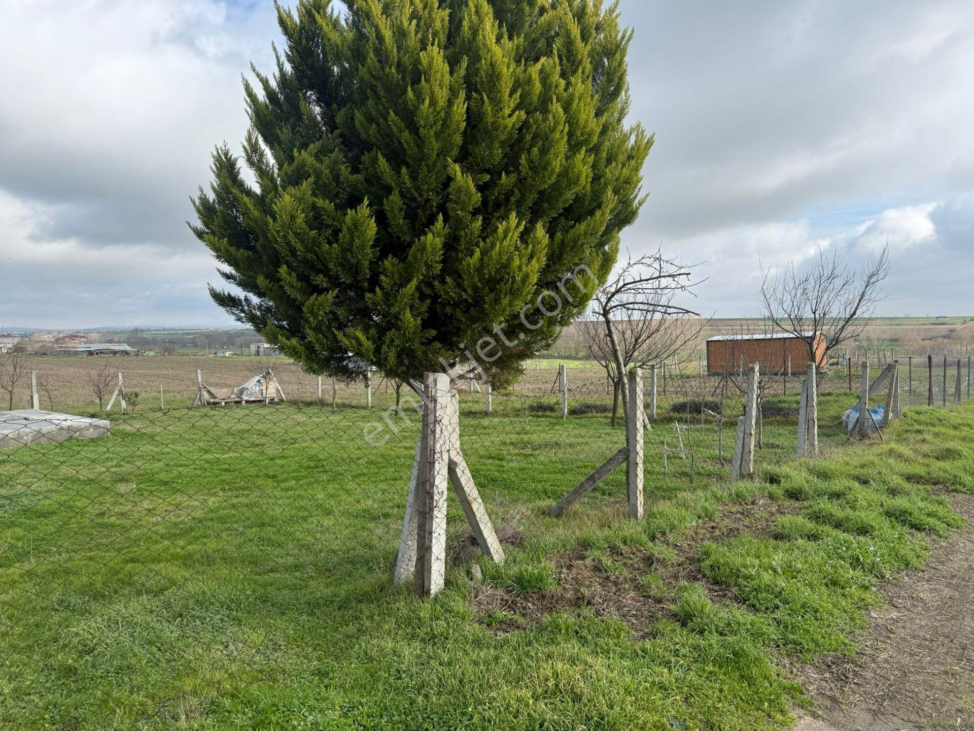 Güven'den Saray - Çukuryut'da 992m² Kaçırılmayacak Fırsat Arazi. - Görsel 6