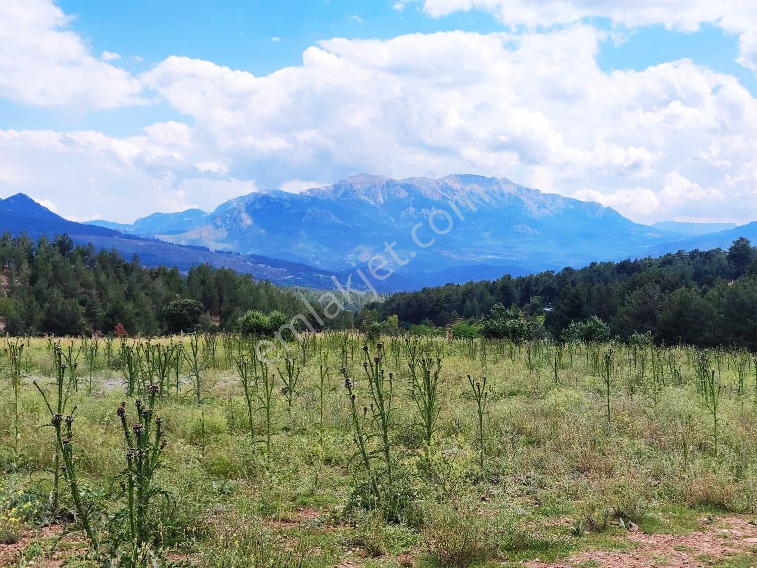 Kar Emlaktan Alpu Yaylasında 500 M2 Satılık Arsa - Görsel 9