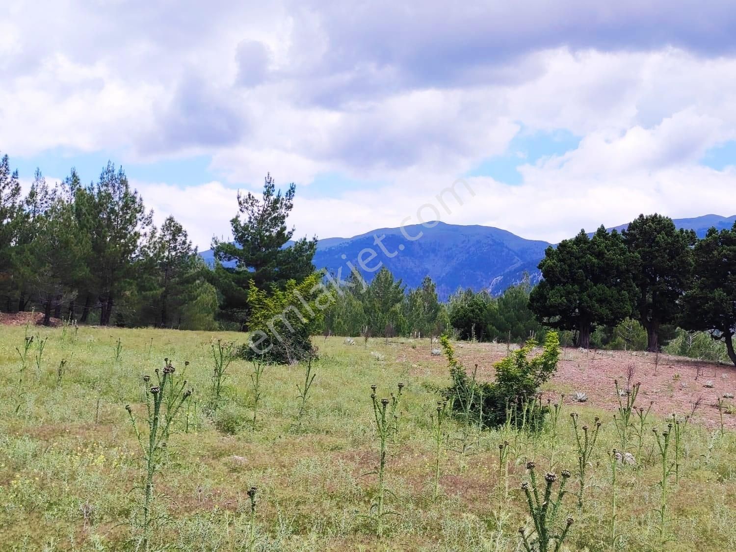 Kar Emlaktan Alpu Yaylasında 500 M2 Satılık Arsa - Görsel 3