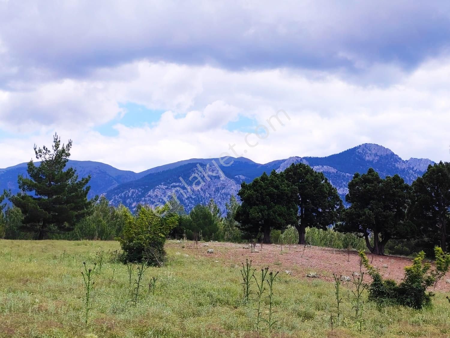 Kar Emlaktan Alpu Yaylasında 500 M2 Satılık Arsa