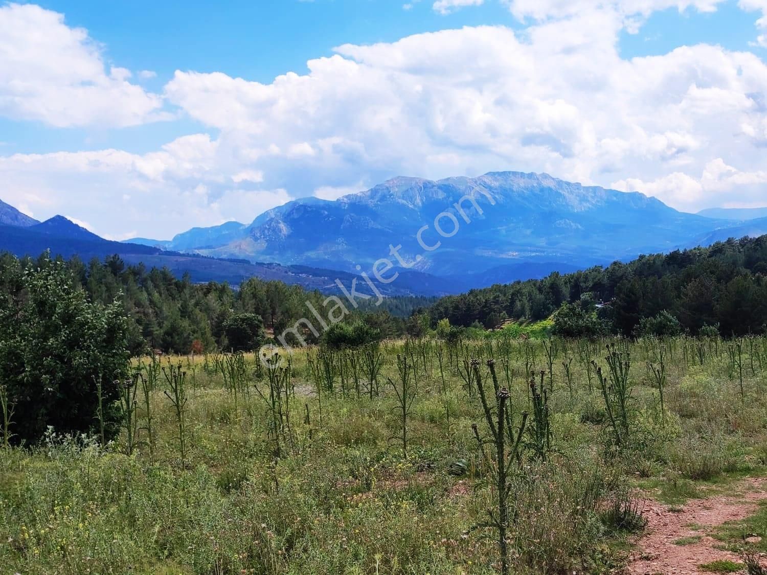 Kar Emlaktan Alpu Yaylasında 500 M2 Satılık Arsa - Görsel 25