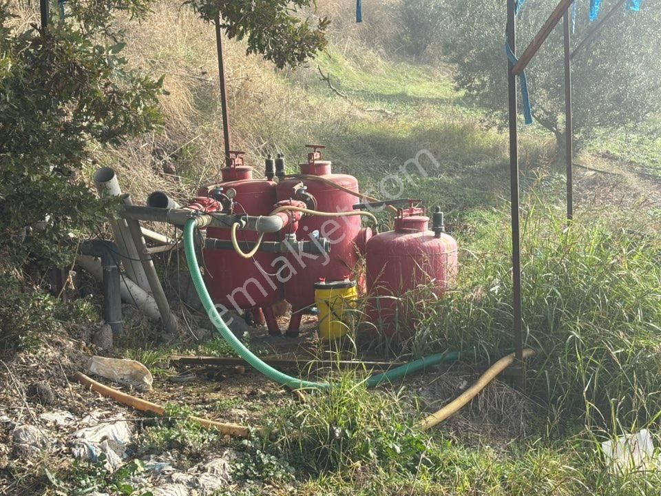 Tc Emlaktan Satılık 164 Dönüm Zeytinlik - Görsel 28