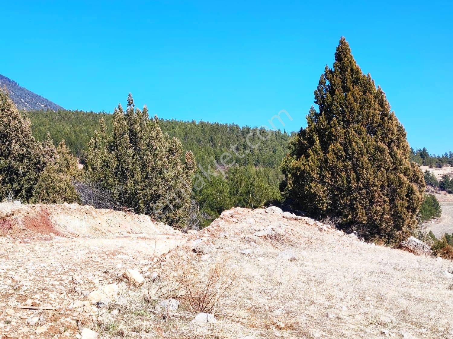 Kar Emlaktan Alpu Yaylasında 480 M2 Satılık Arsa - Görsel 19