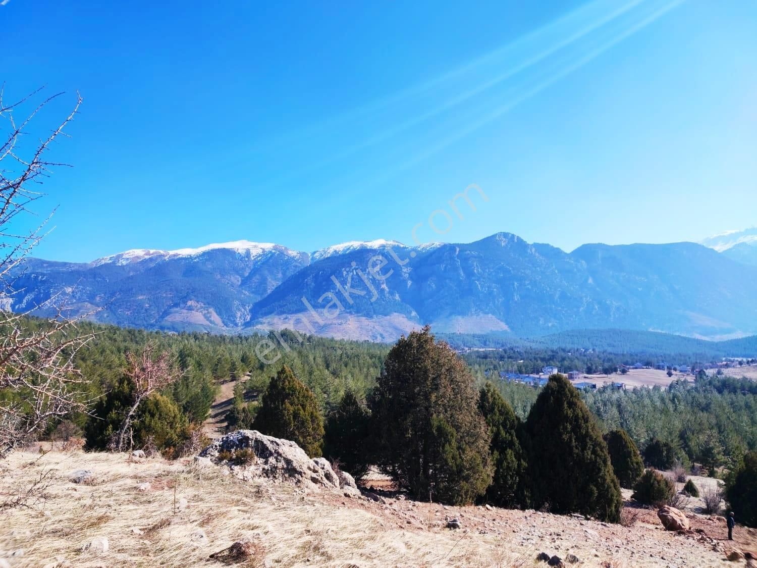 Kar Emlaktan Alpu Yaylasında 480 M2 Satılık Arsa