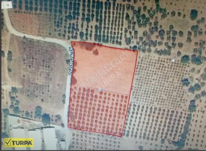 Torbalı Saipler Mahallesinde 3.500 Dönüm Satılık Tarla