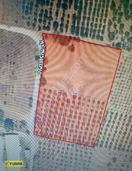 Torbalı Saipler Mahallesinde 3.500 Dönüm Satılık Tarla - Görsel 2