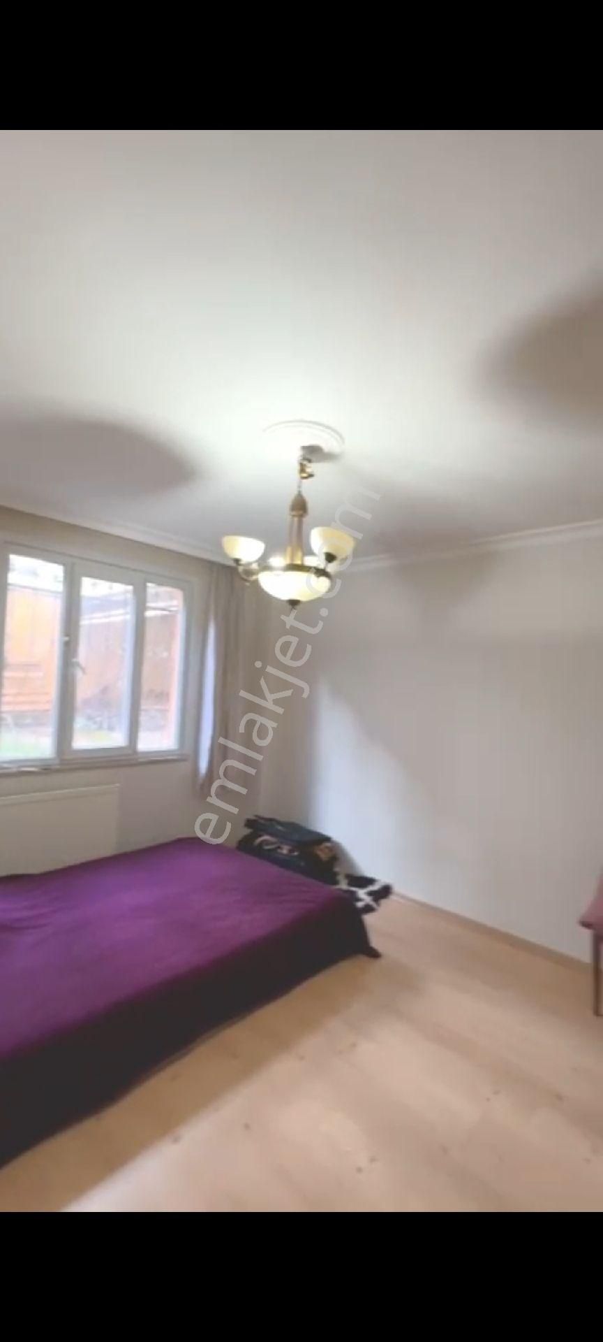 Yakupluda Kiralık Bahçe Kat 1+1 Bahçe Kullanımli - Görsel 3
