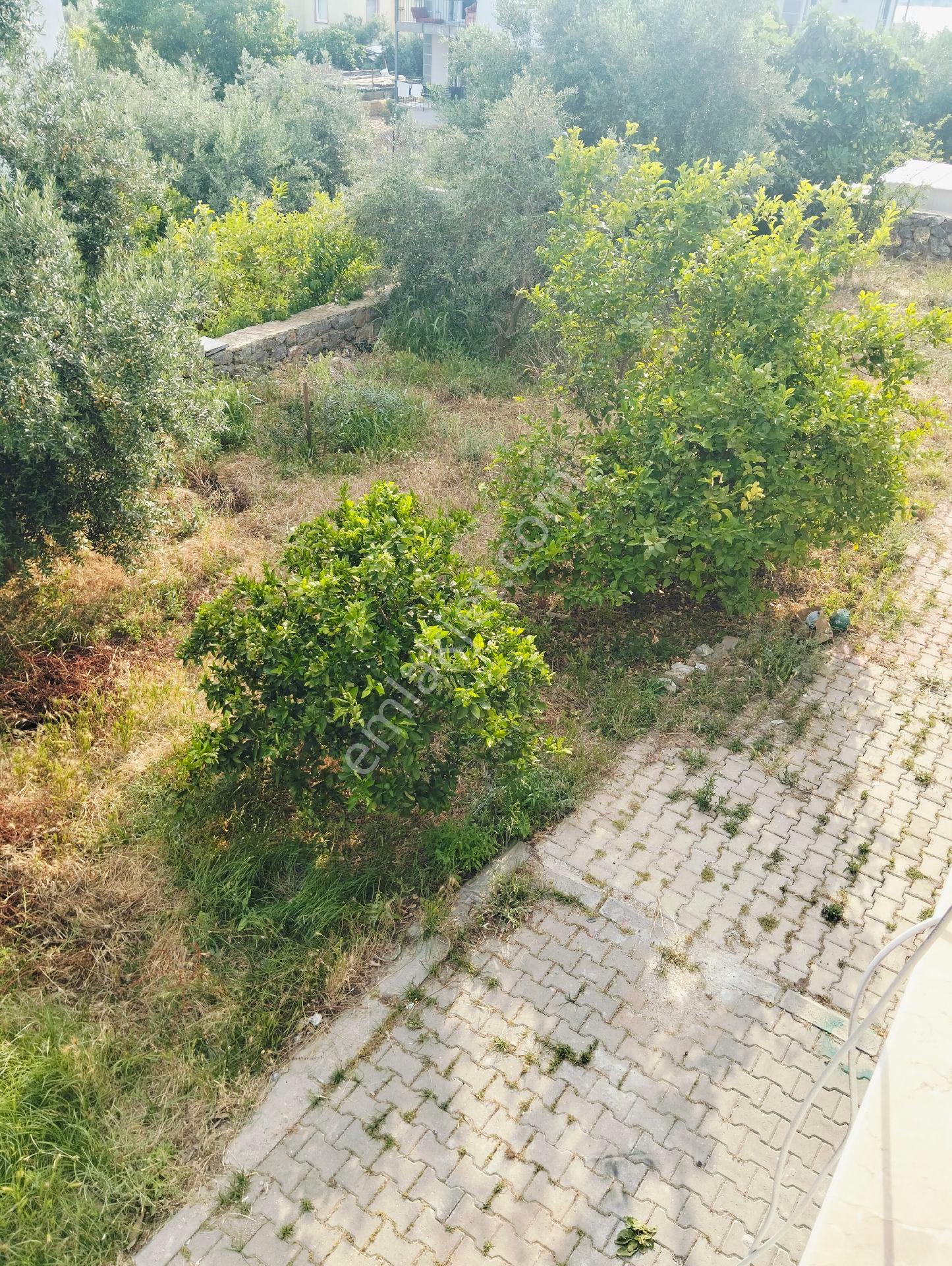 Çamköyde Kiralık 2+1 Daire - Görsel 34