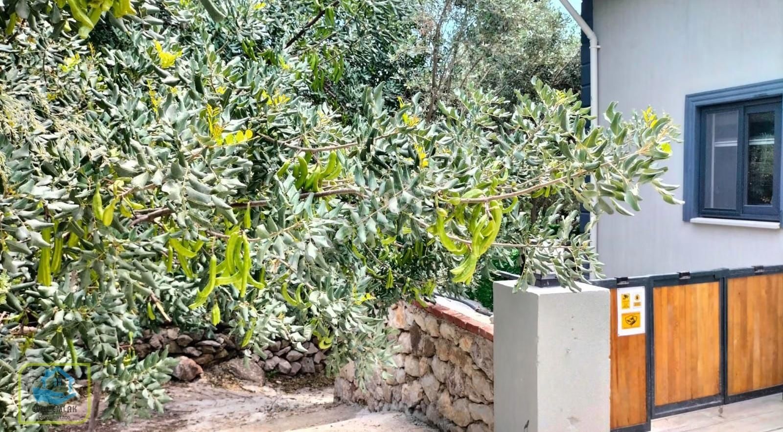 Eval Emlak'tan Söğüt'de Deniz Manzara Müstakil Villa |505m2 Arsa - Görsel 19