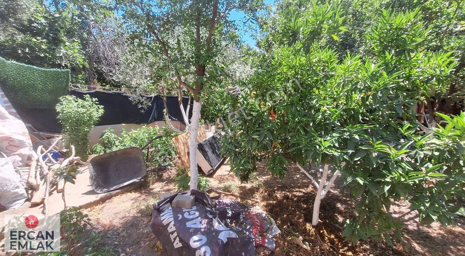 Özderede Geniş Bahceli Villa - Görsel 11