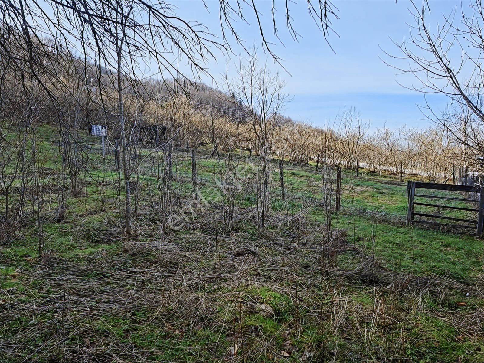 Ruşen Aydın Gayrimenkulden Kaynaşlı Merkezde Satılık Arazi - Görsel 25