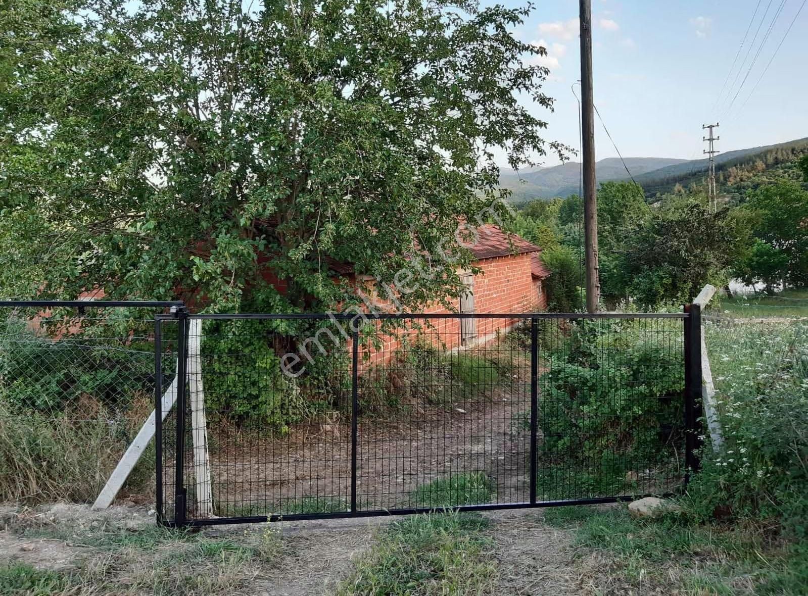 Bursa Kemalpaşa Paşalar Mah Satılık Arsa Köy Evi - Görsel 10