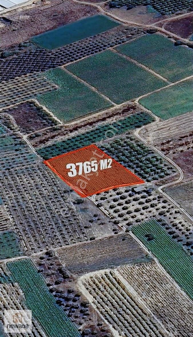 Geyve Kozan'da Satılık 3765m2 Tarla