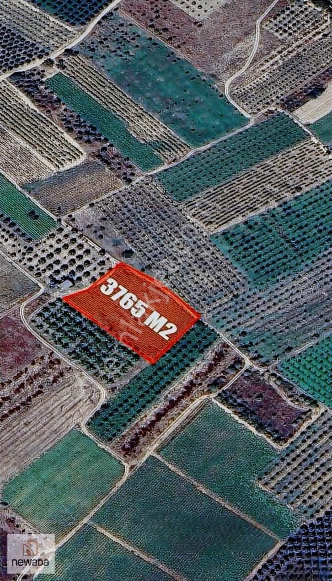 Geyve Kozan'da Satılık 3765m2 Tarla - Görsel 2