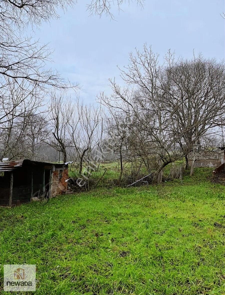 Sakarya Pamukova Gökgöz'de Köy Merkezinde 1240m2 Tarla - Görsel 23